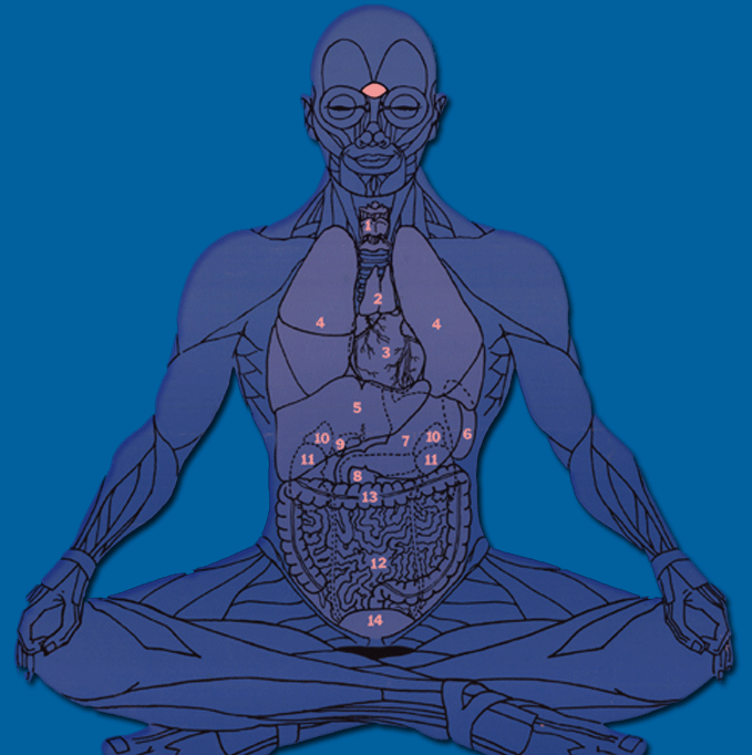psionic etheric chi energy generators psionic etheric chi energy generators