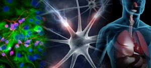 The Online School of Chi Energy Training