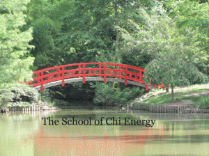 Chi Energy Training