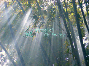 The School of Chi Energy