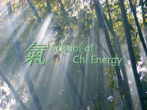 The School of Chi Energy