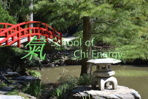 The School of Chi Energy