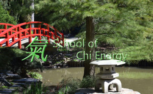 The School of Chi Energy