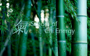 The School of Chi Energy