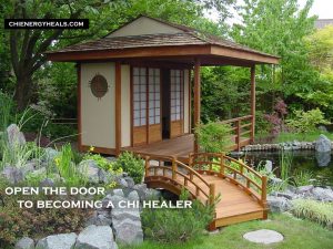 Chi Energy Training