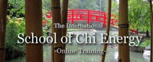 Chi Energy Form Training is more Powerful than Chi Power Training ...
